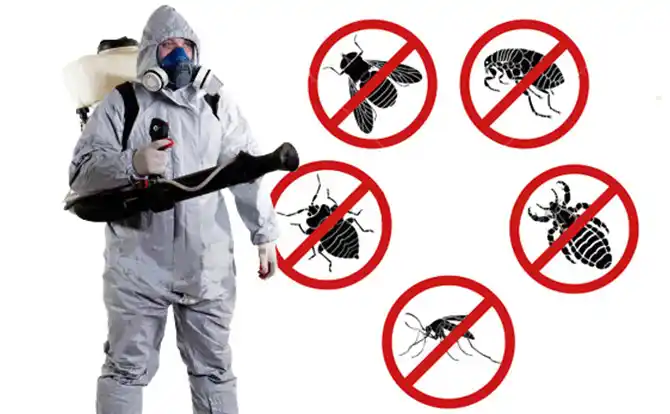 pest control Ione